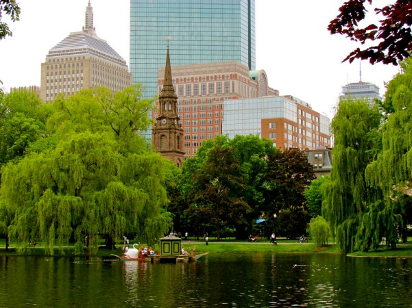 boston public gardens